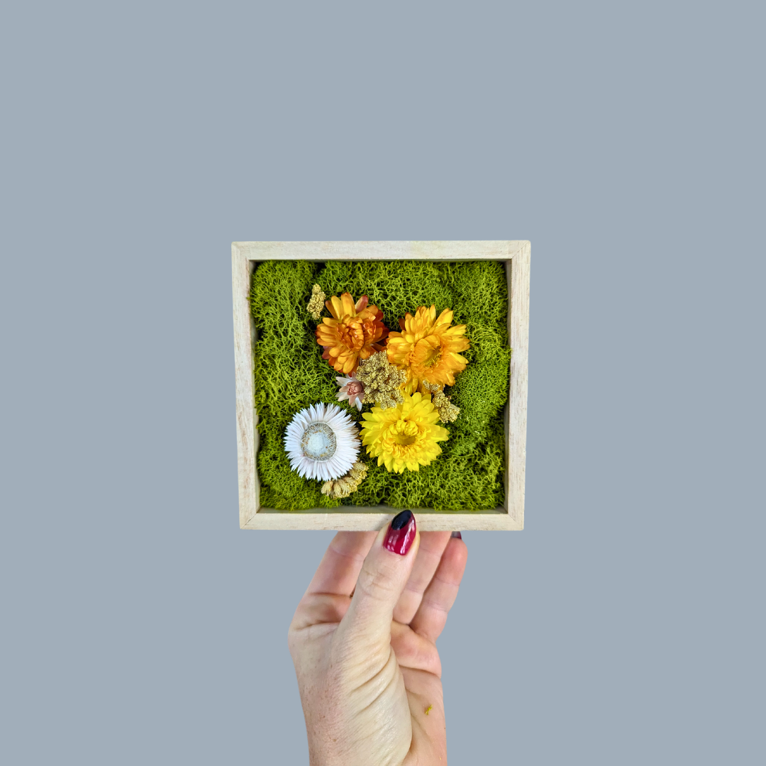 Square Garden