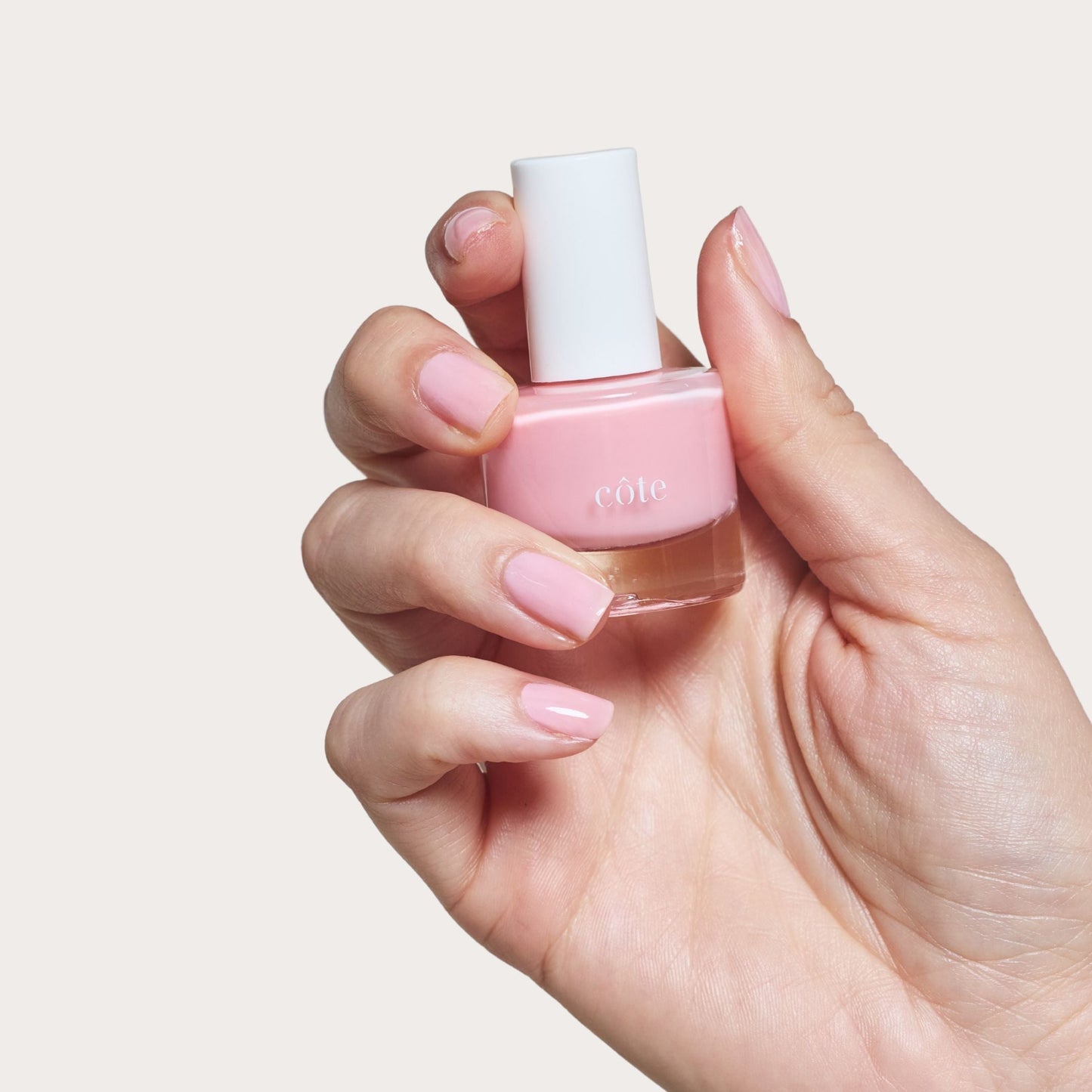 Color Crush Set
