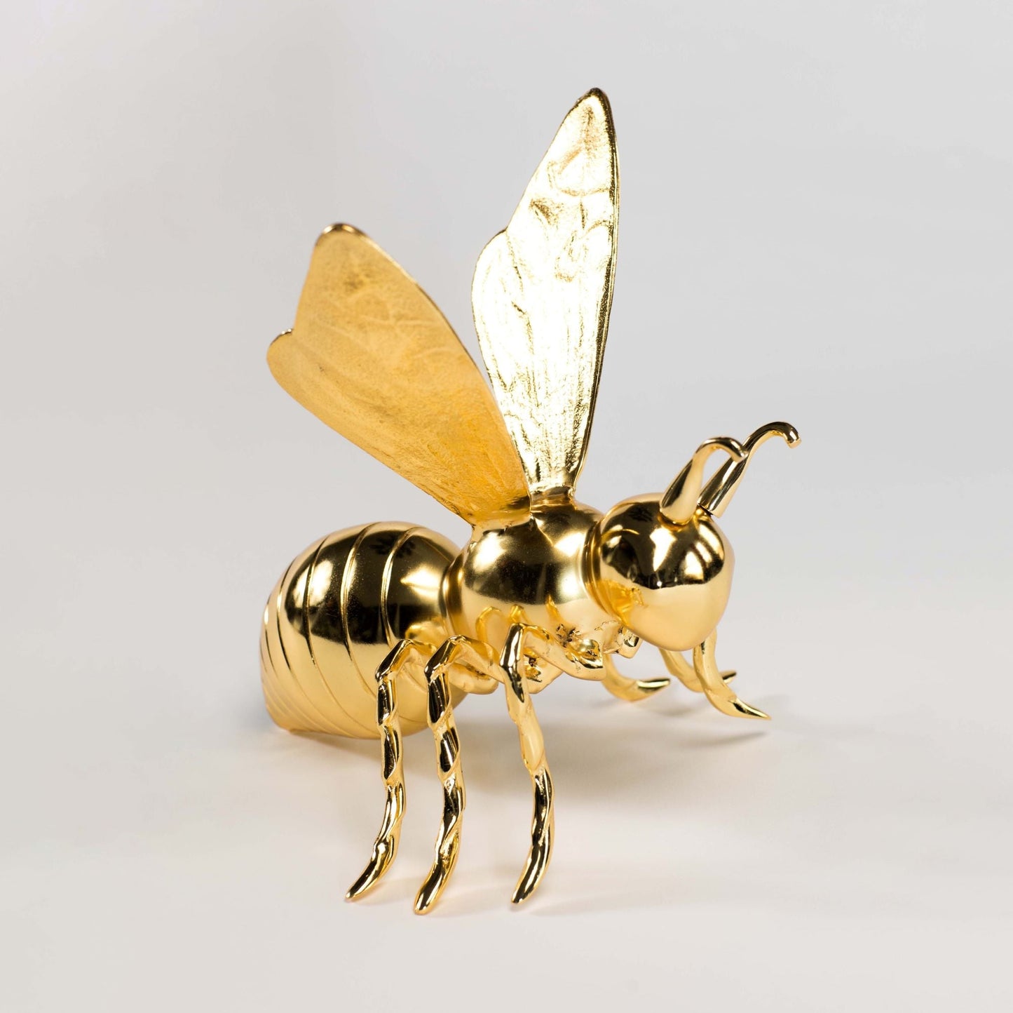 Queen Bee Black Nickel