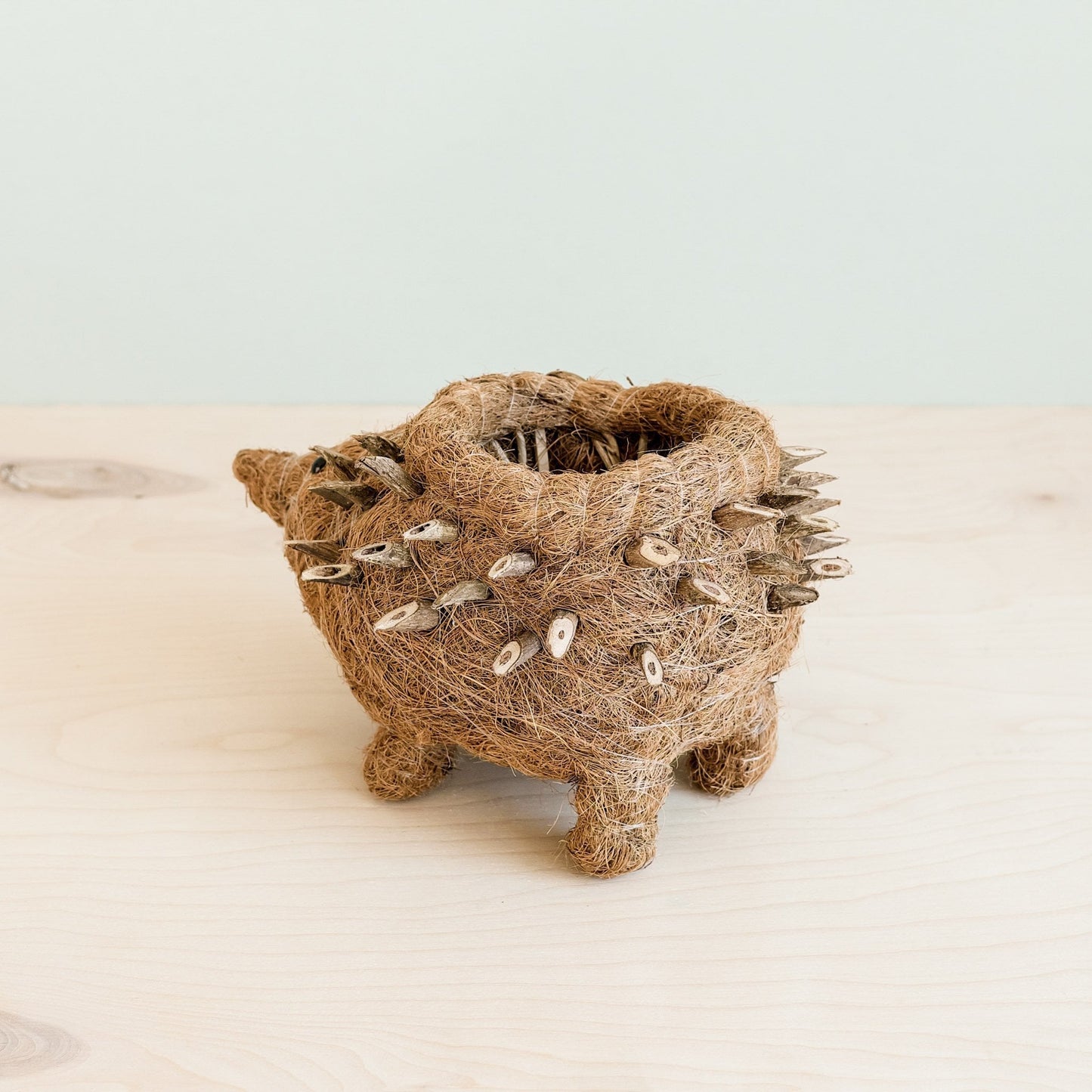 Hedgehog Planter - Coco Planter
