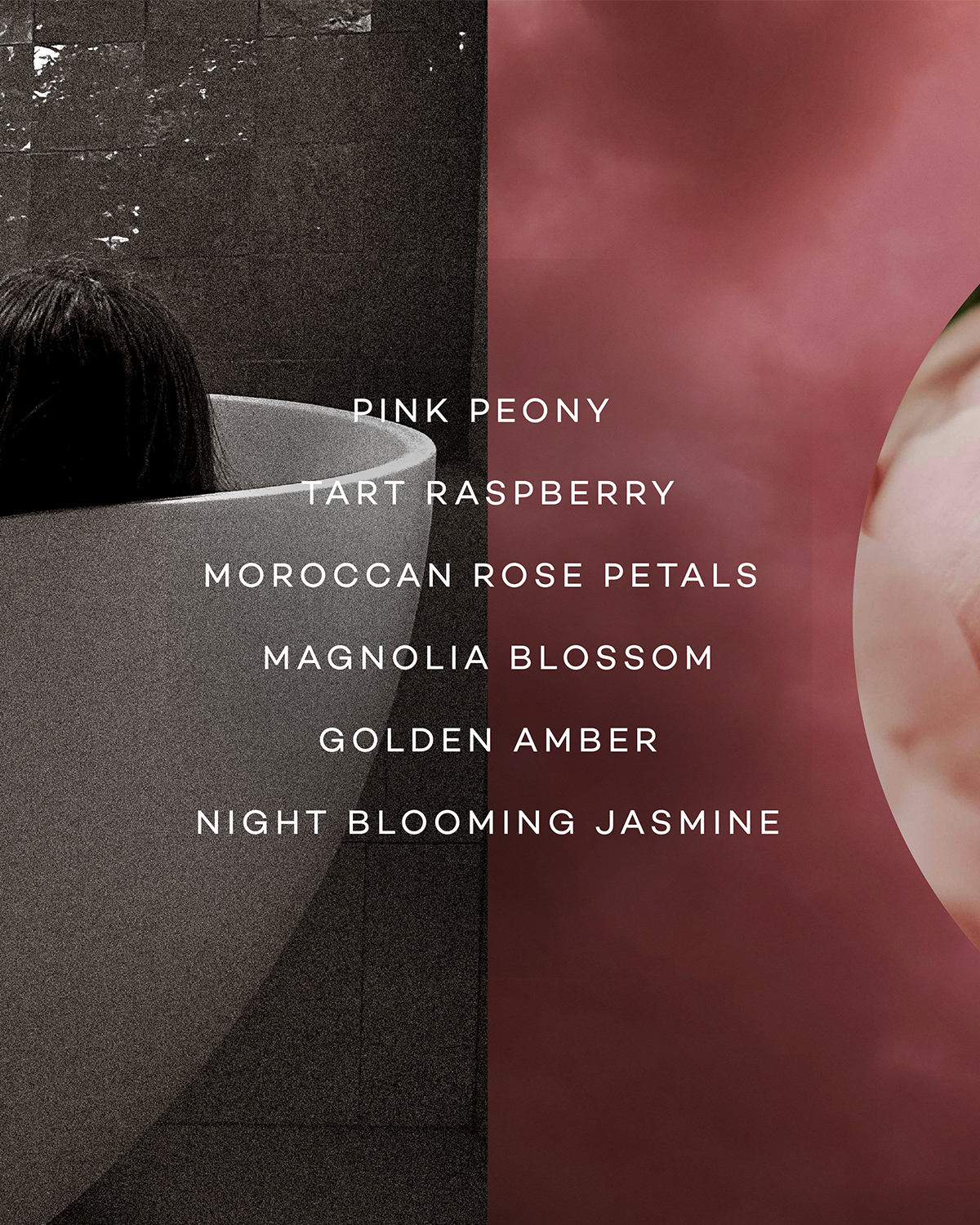 Bloom— Peony & Raspberry