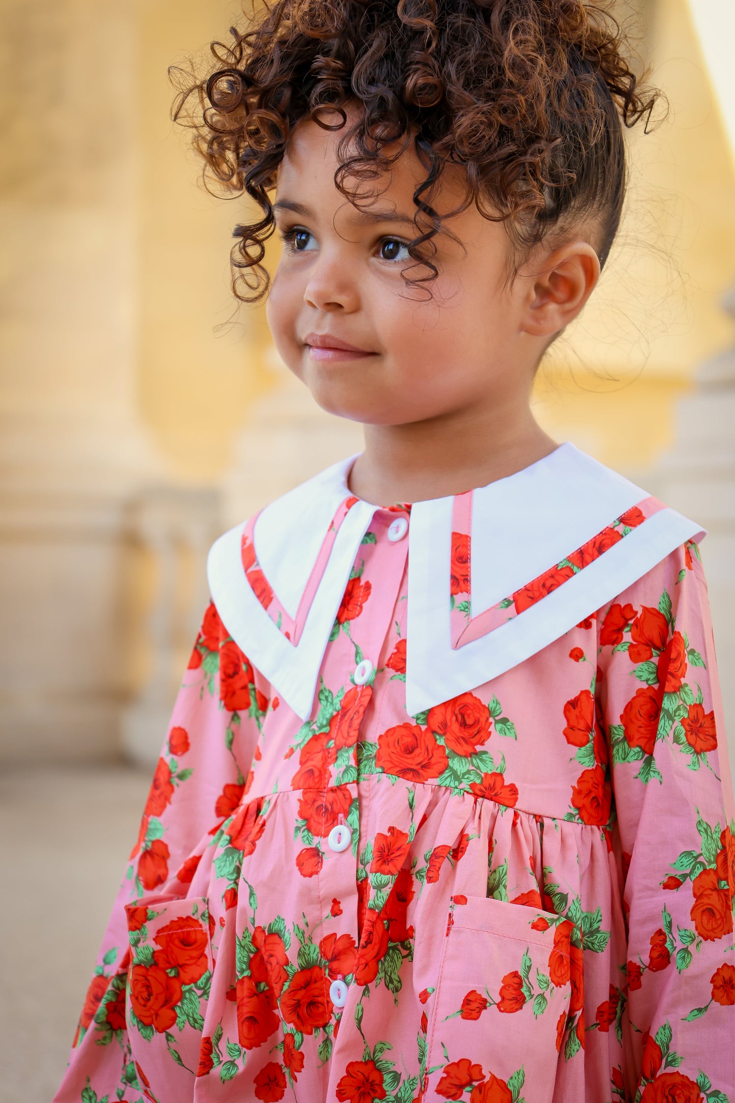 Garden Dress- Vintage Rose (Discontinued Size)