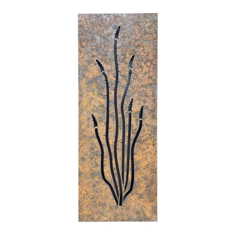 Ocotillo