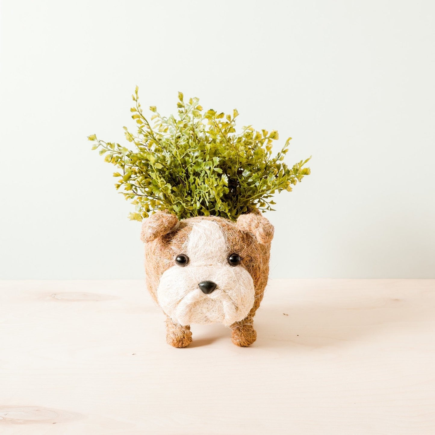English Bulldog Planter