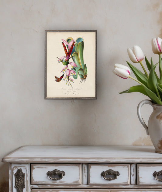 Hummingbird and Flower Print in Beaded Pewter Frame