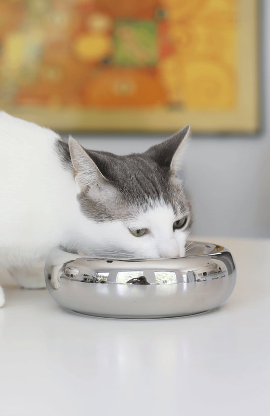 Chrome Halo Pet Bowl