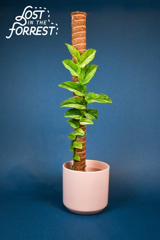 LITF Stackable Coir Pole
