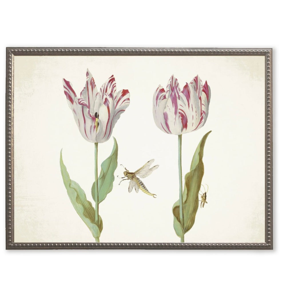 Dragonfly and Pink Flowers in Silver-Beaded Frame