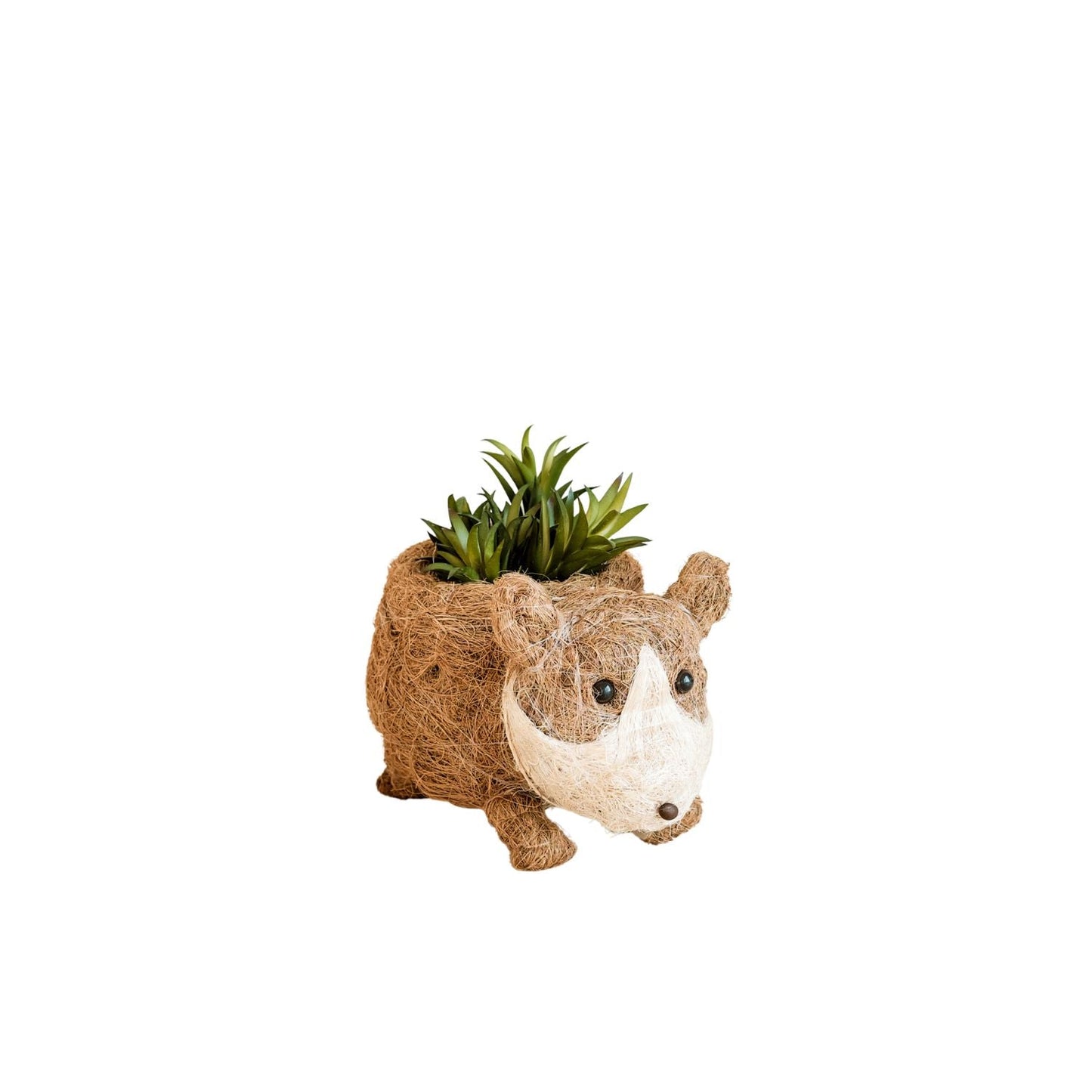 Baby Corgi Succulent Pot