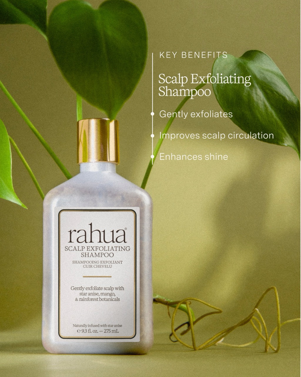 The Scalp Care bundle