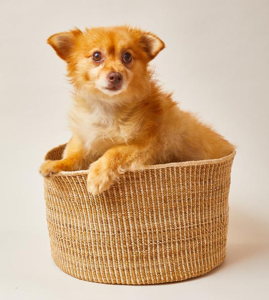 Banana Leaf Floor Basket in Mixed Natural