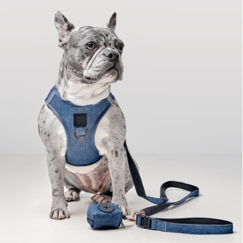 SoHo Dog Harness - Denim