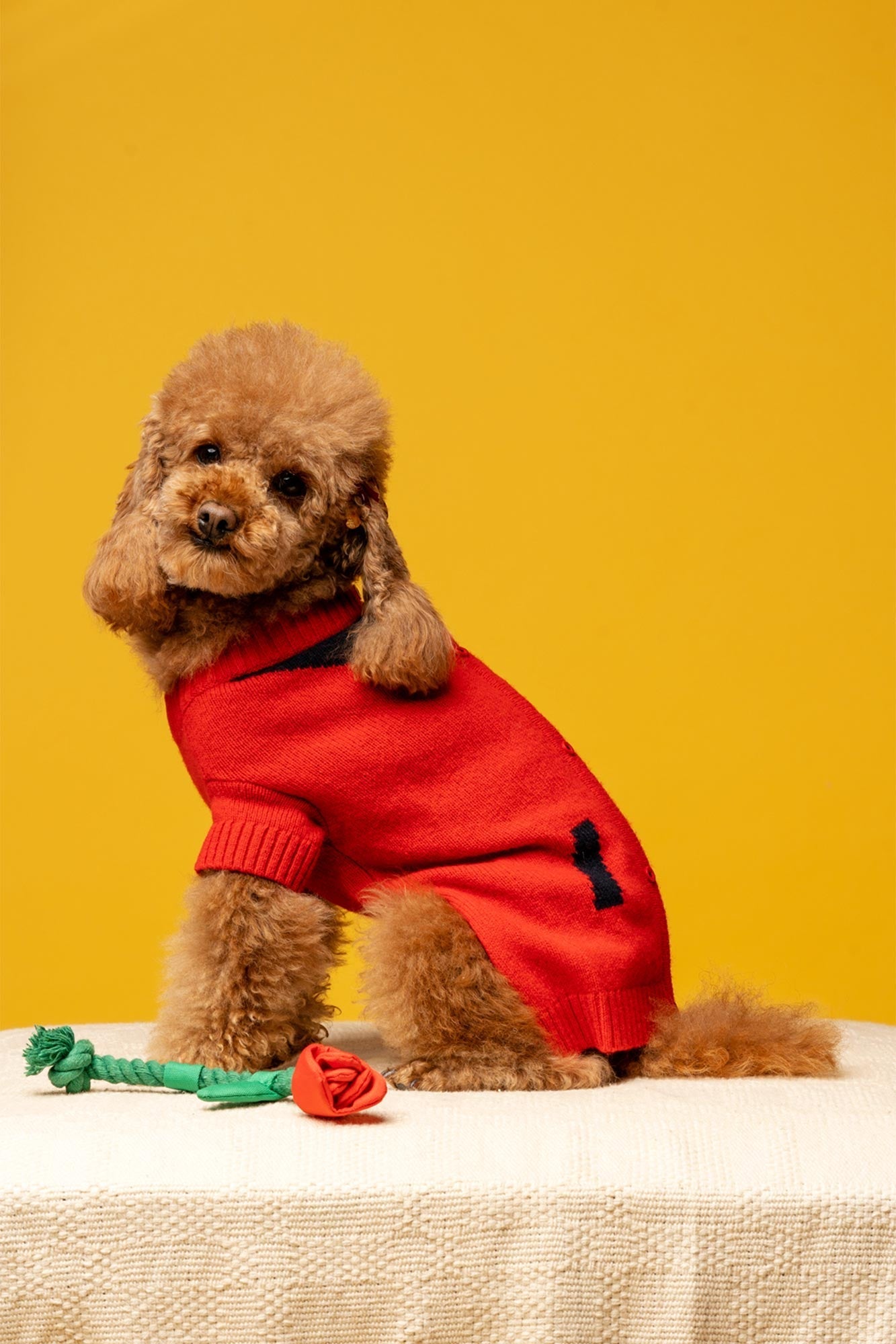 Sophie the Poodle Hair Clip