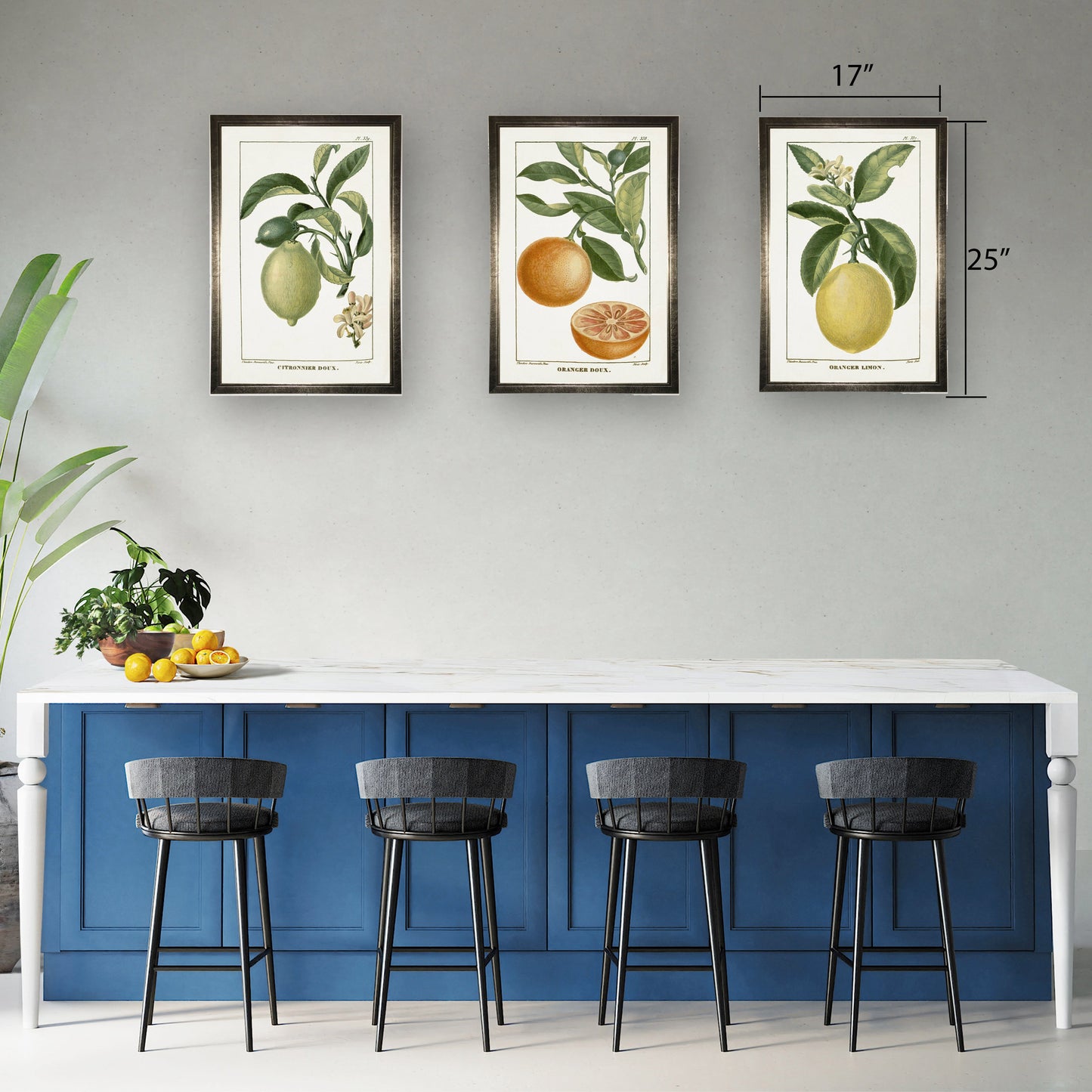 Lemon Plant in Silver Frame