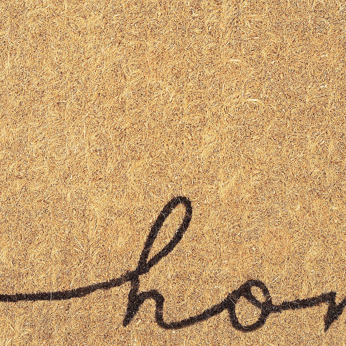 Home Line Art Coir Doormat