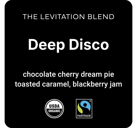 Deep Disco
