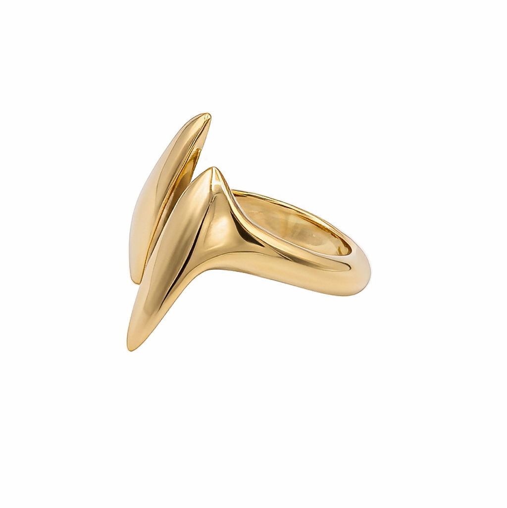 Double Petal Brass Statement Ring for Women | Umbo - EcoDunia