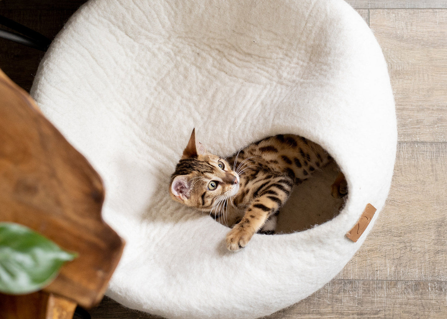 Premium Felted Wool Cat Cave Bed - Cozy Peekaboo Round Cave for Large or Small Cats