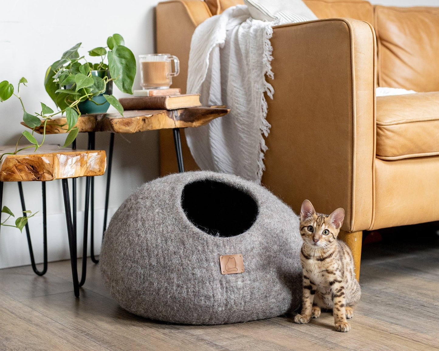 Premium Felted Wool Cat Cave Bed - Cozy Peekaboo Round Cave for Large or Small Cats