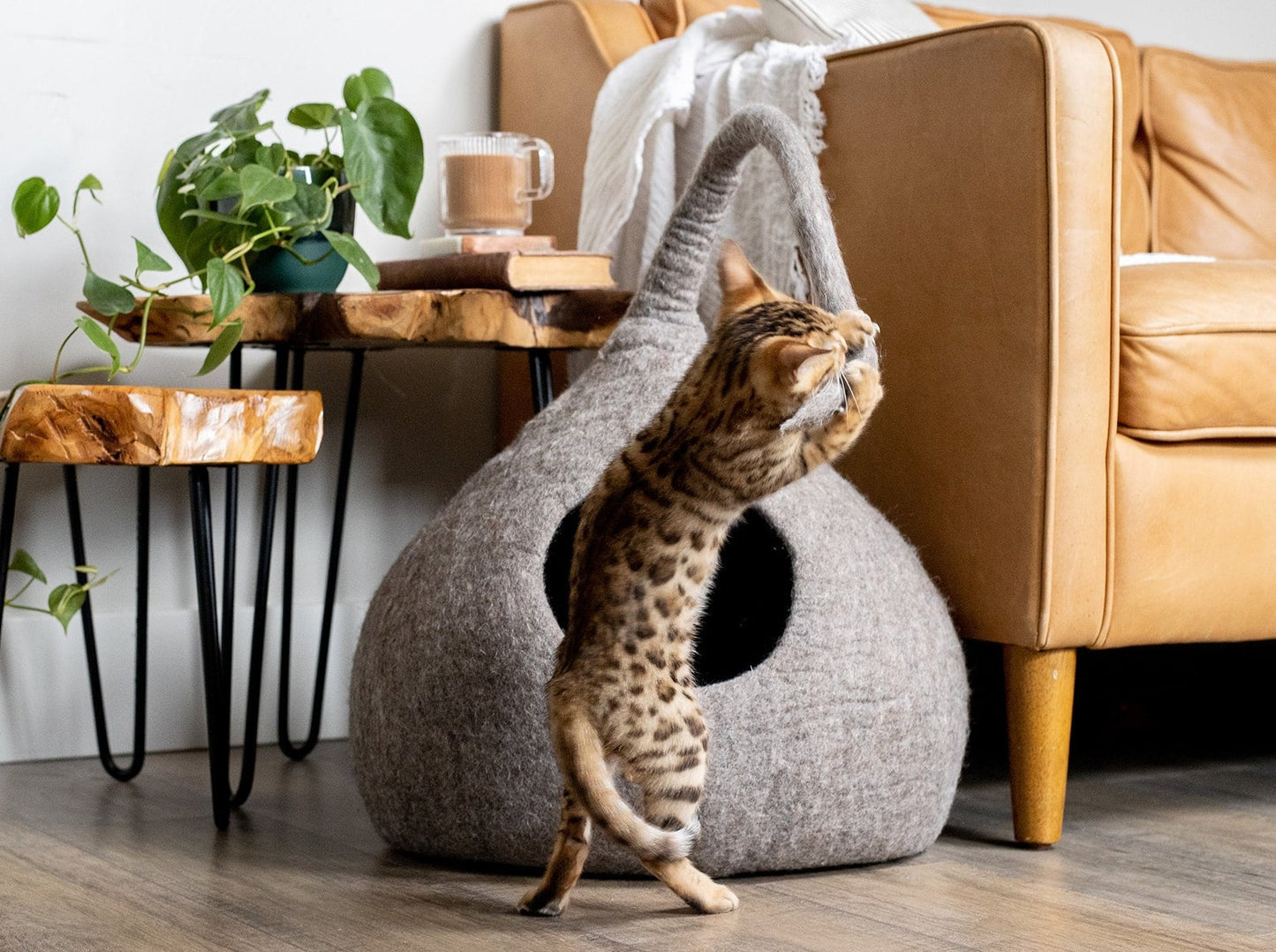 Whimsical Cat Tail Cave Bed