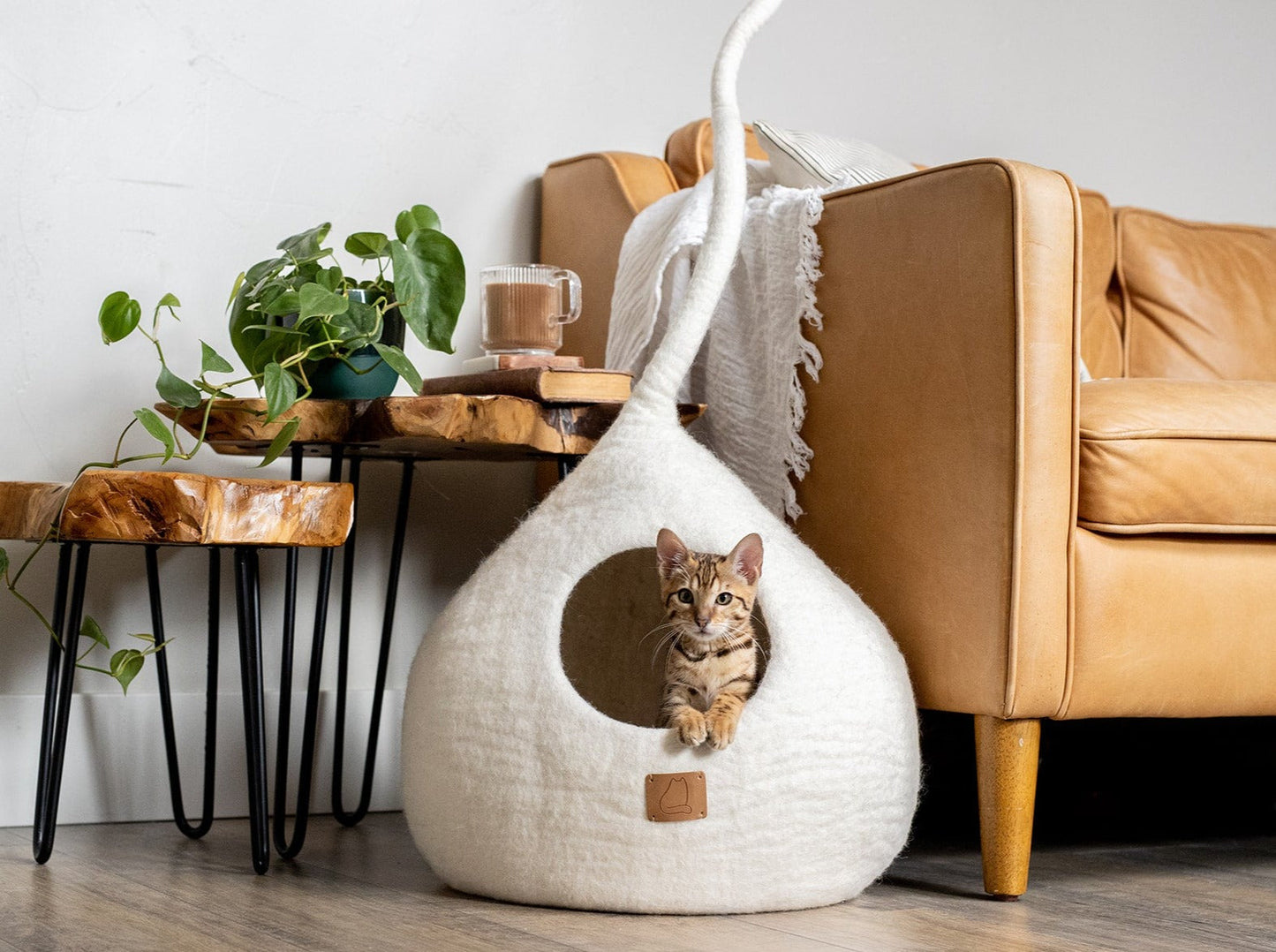 Whimsical Cat Tail Cave Bed