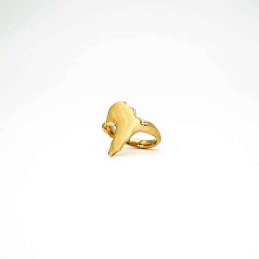 Adjustable African Shaped Brass Ring Ecodunia