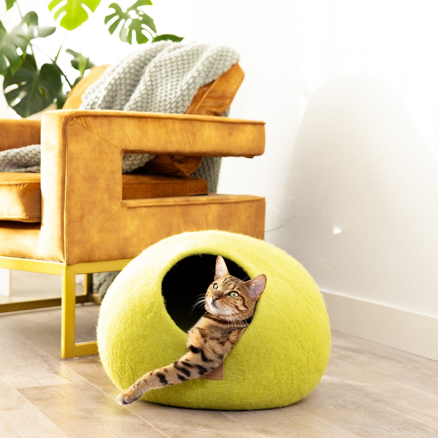 Premium Felted Wool Cat Cave Bed - Cozy Peekaboo Round Cave for Large or Small Cats
