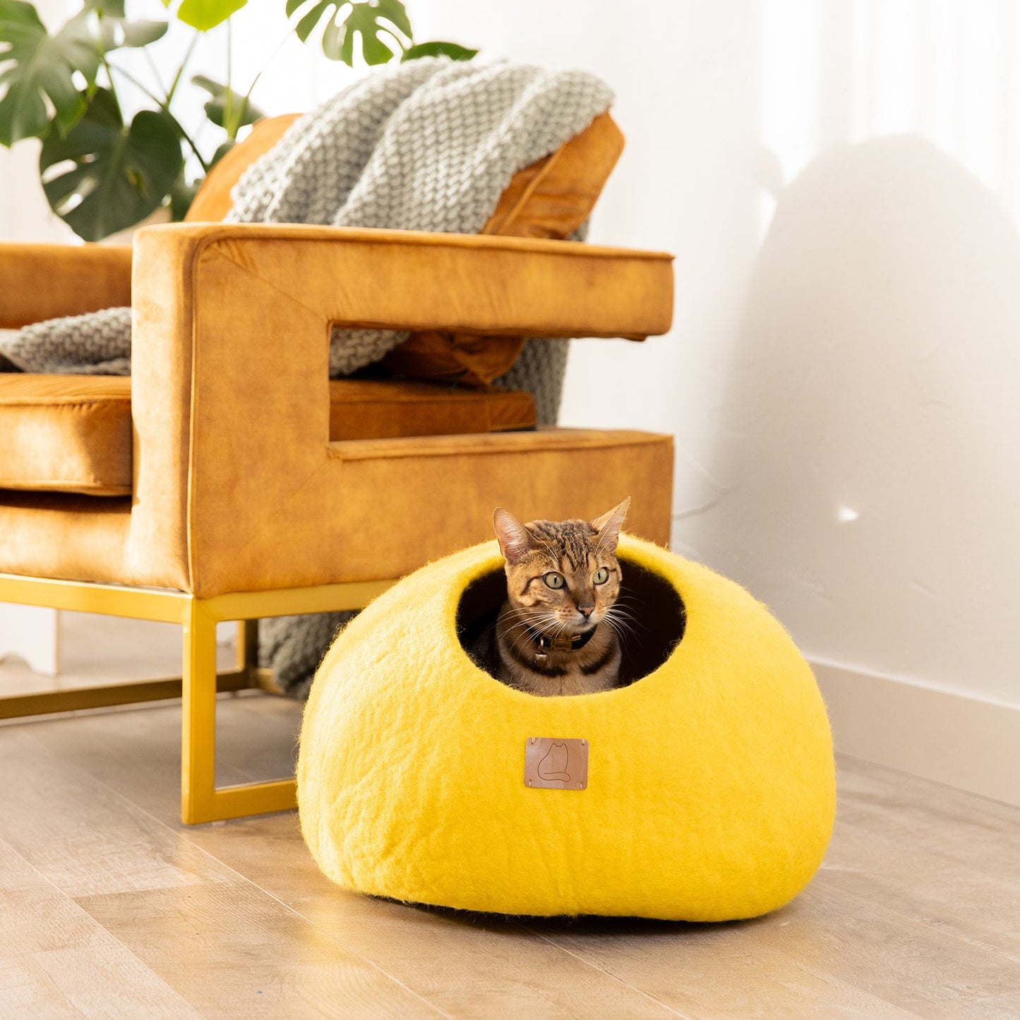 Premium Felted Wool Cat Cave Bed - Cozy Peekaboo Round Cave for Large or Small Cats