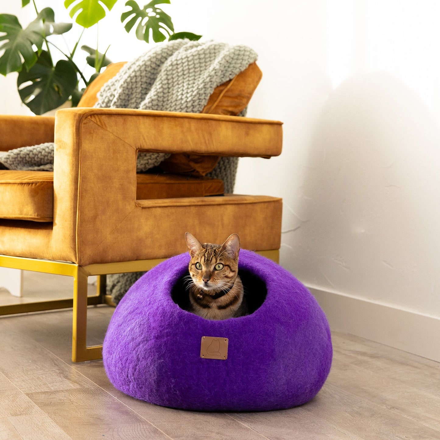 Premium Felted Wool Cat Cave Bed - Cozy Peekaboo Round Cave for Large or Small Cats