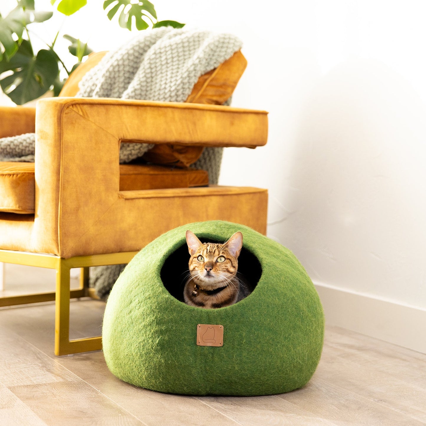 Premium Felted Wool Cat Cave Bed - Cozy Peekaboo Round Cave for Large or Small Cats