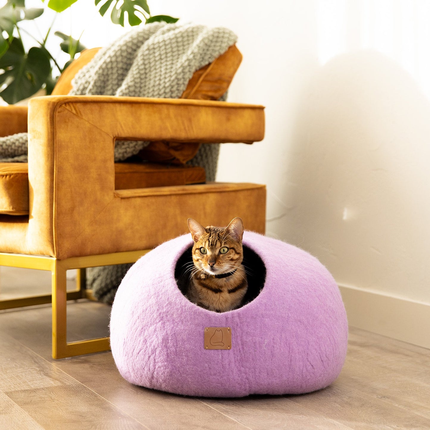 Premium Felted Wool Cat Cave Bed - Cozy Peekaboo Round Cave for Large or Small Cats