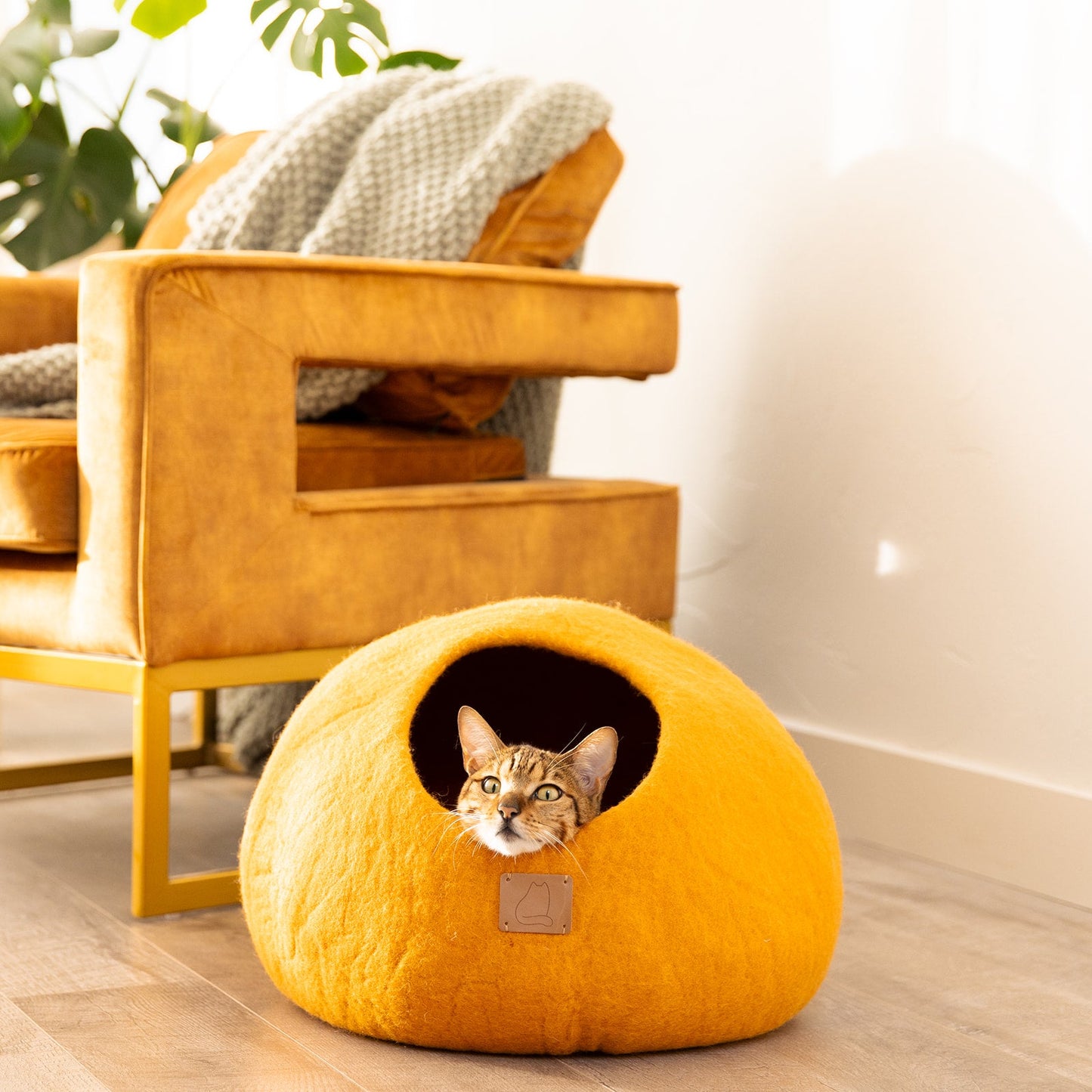 Premium Felted Wool Cat Cave Bed - Cozy Peekaboo Round Cave for Large or Small Cats