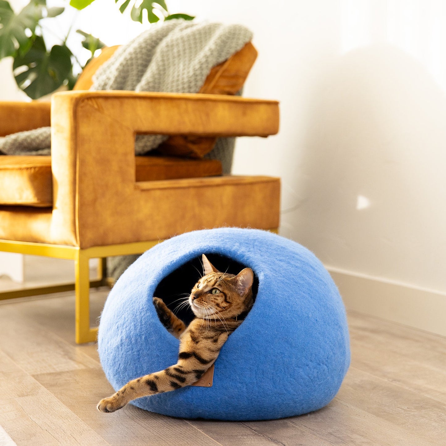 Premium Felted Wool Cat Cave Bed - Cozy Peekaboo Round Cave for Large or Small Cats