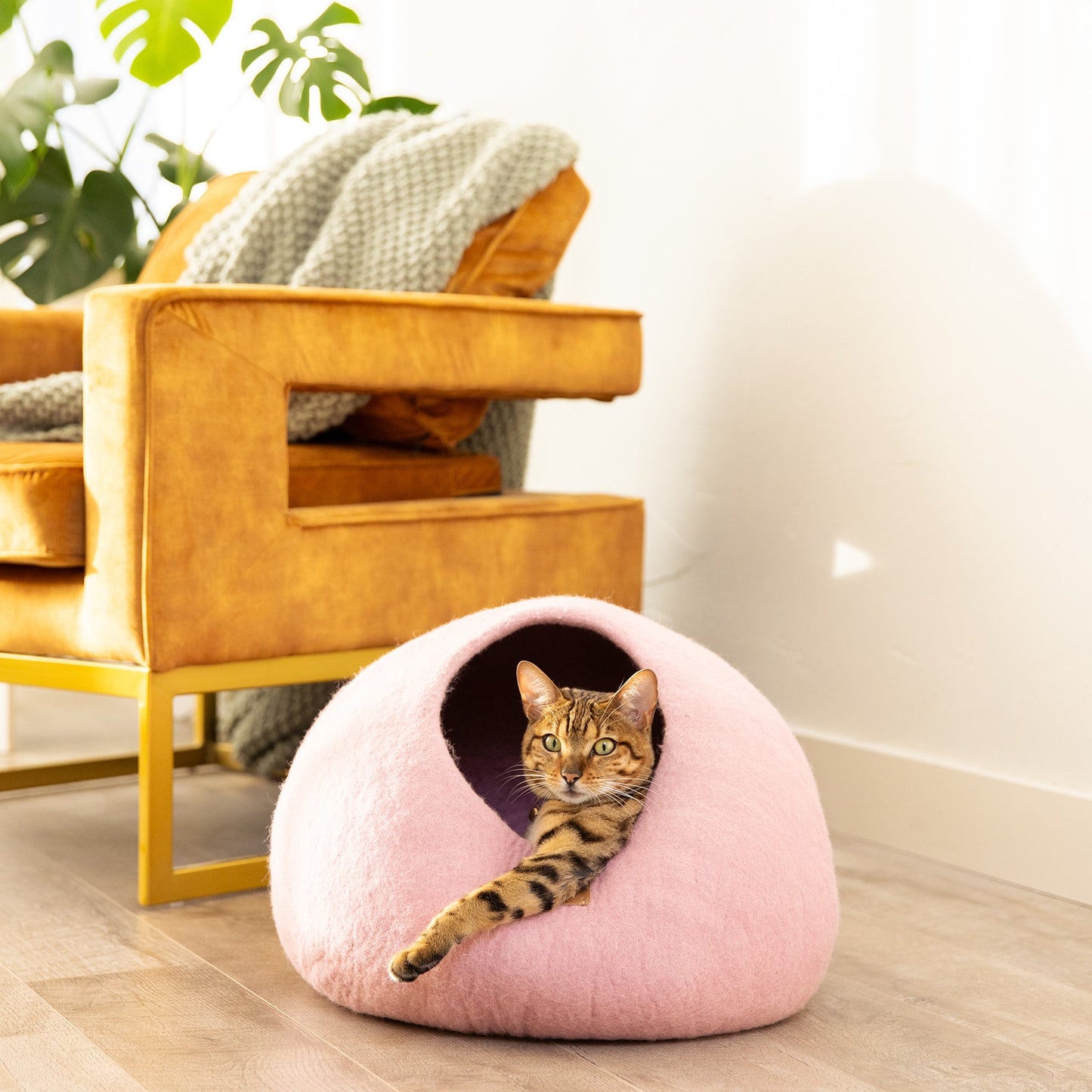Premium Felted Wool Cat Cave Bed - Cozy Peekaboo Round Cave for Large or Small Cats