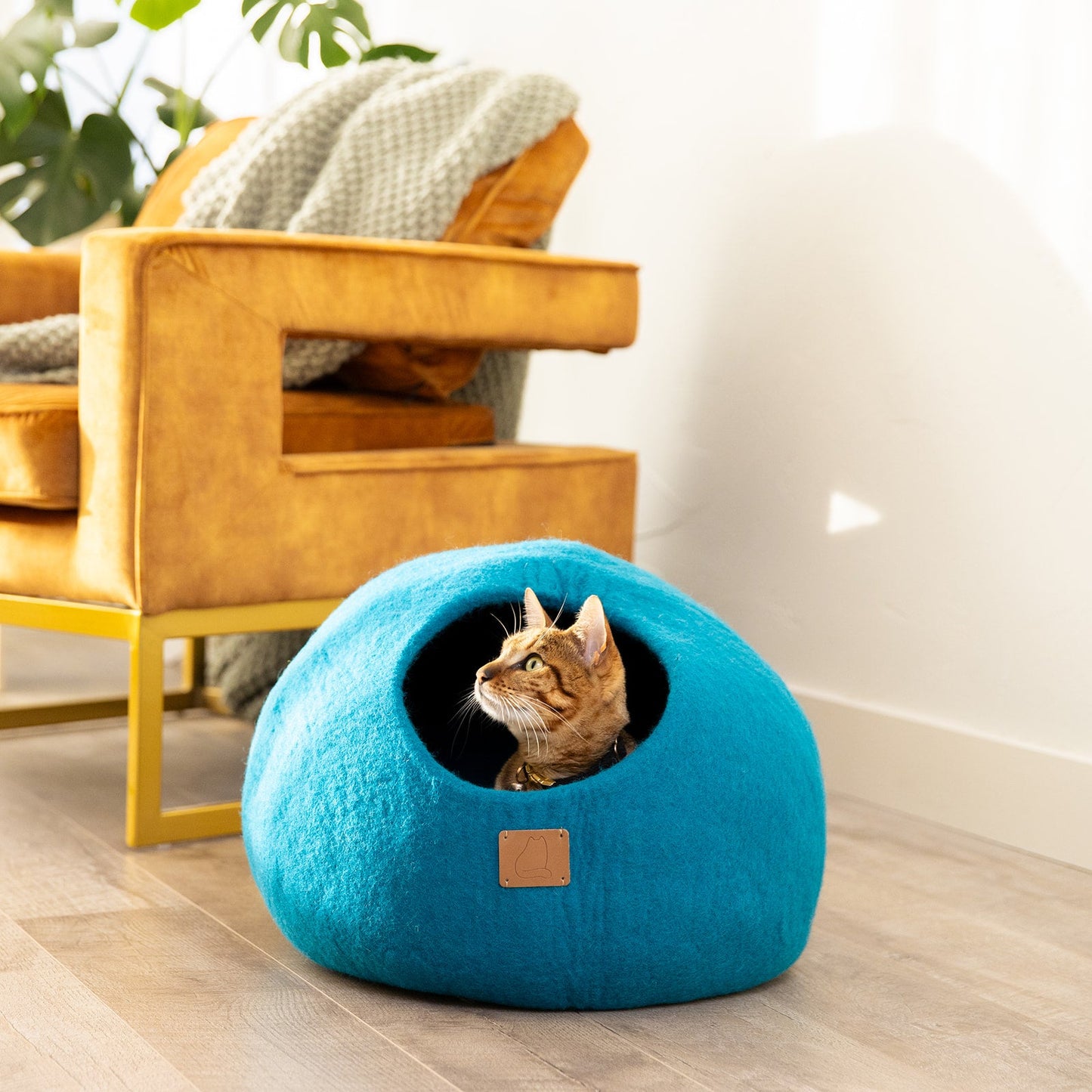 Premium Felted Wool Cat Cave Bed - Cozy Peekaboo Round Cave for Large or Small Cats
