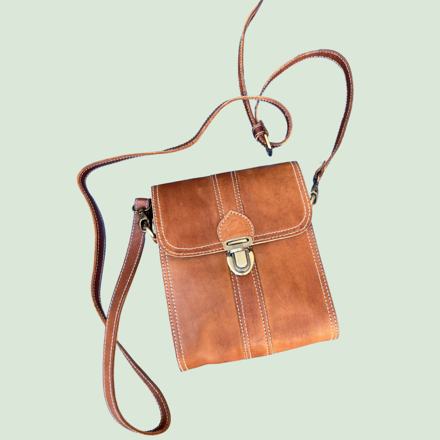 Leather Mini Crossbody (Natural)