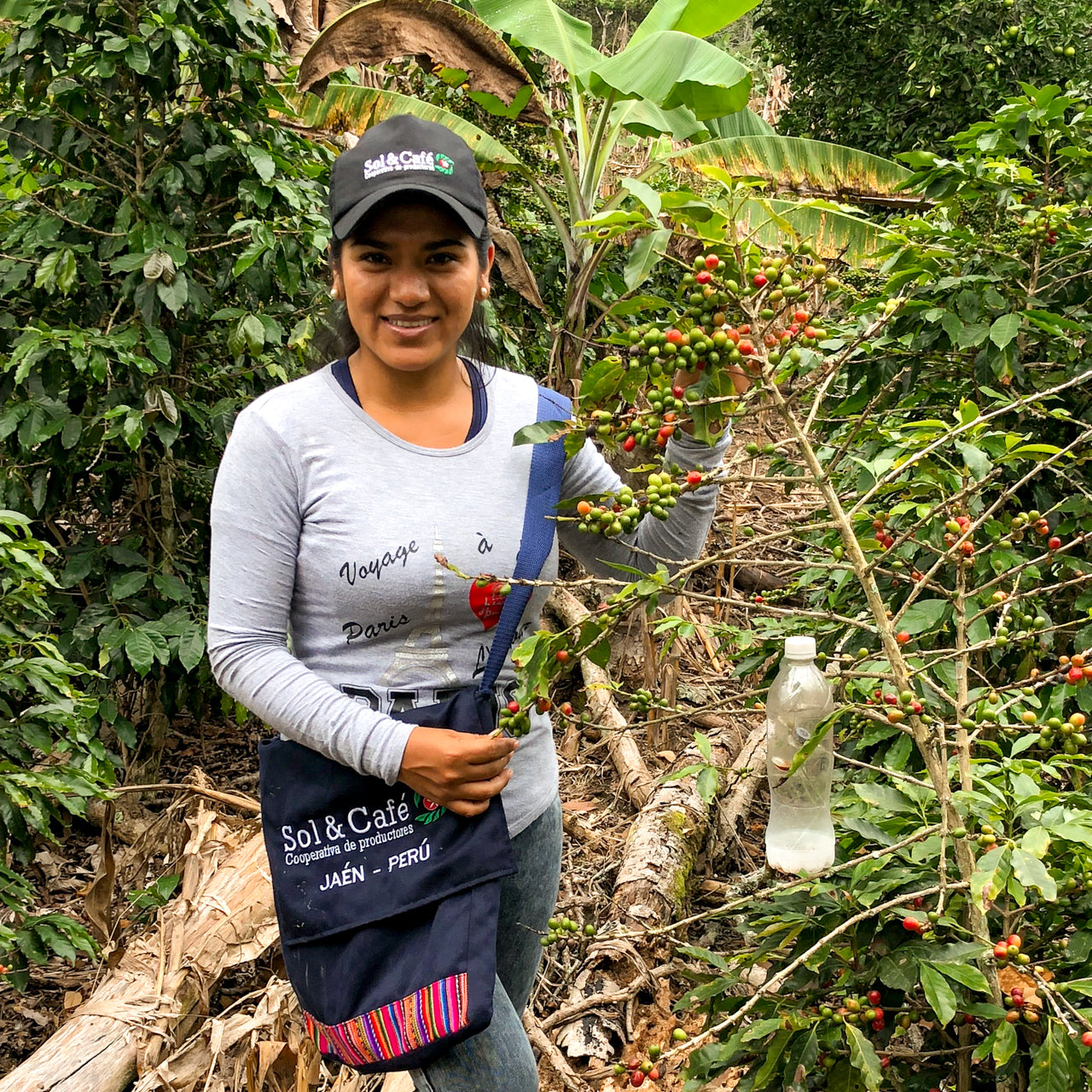 Peru Sol y Café