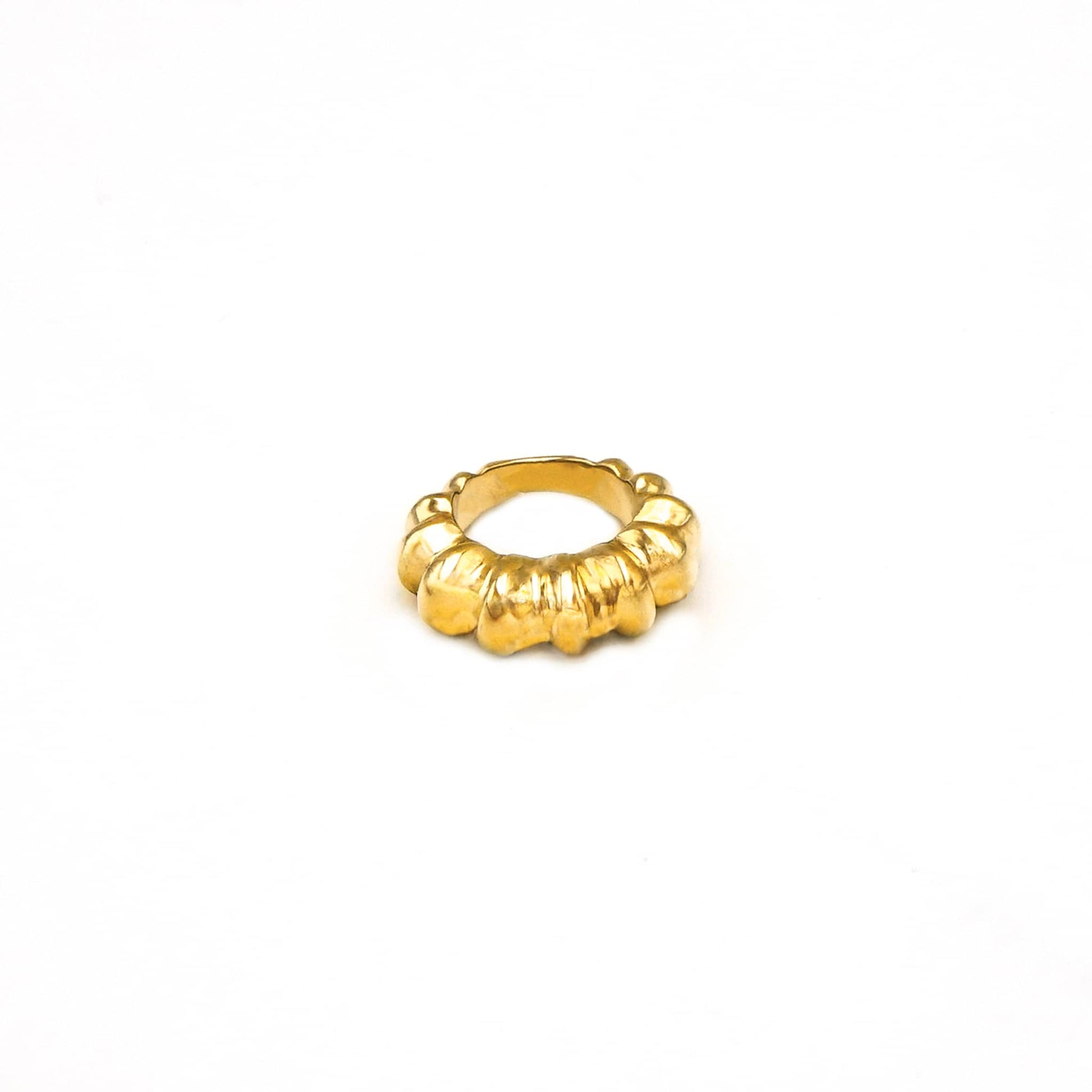 Noble Crown Band Ring | Rica Ecodunia