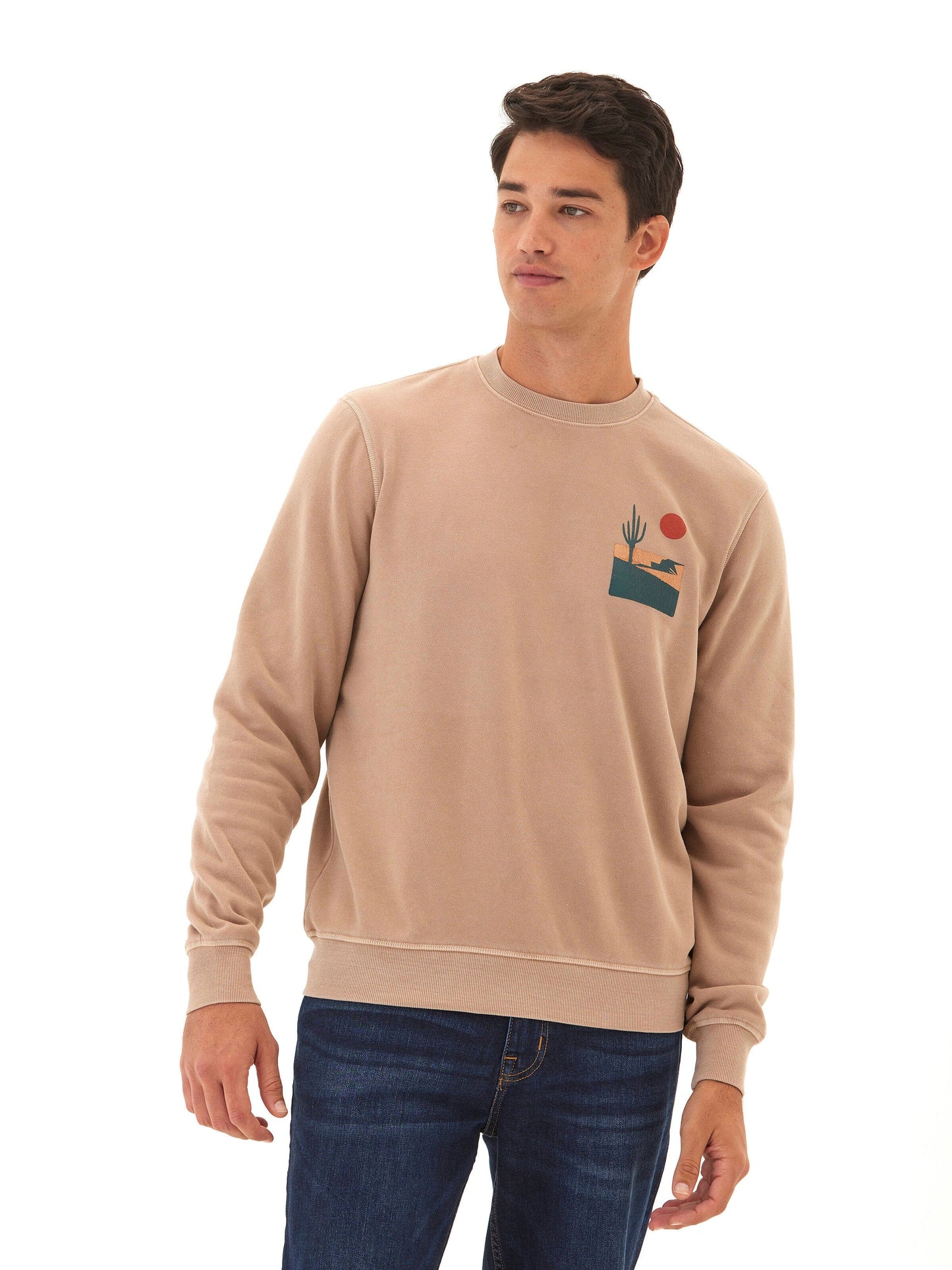 Mineral Wash Graphic Fleece Crew