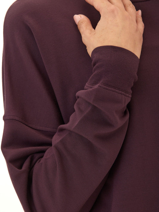 Cathy Boyfriend Feather Fleece Pullover