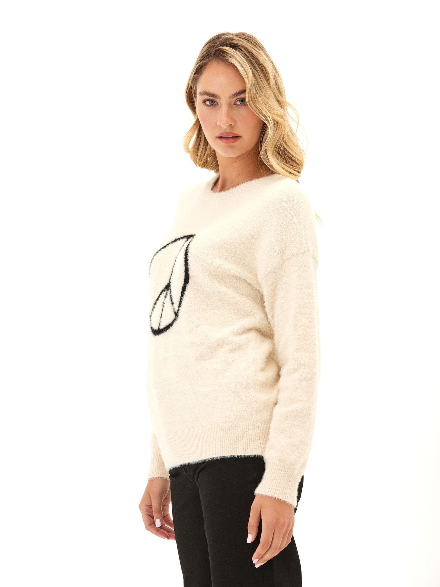 Fuzzy Knit Graphic Pullover
