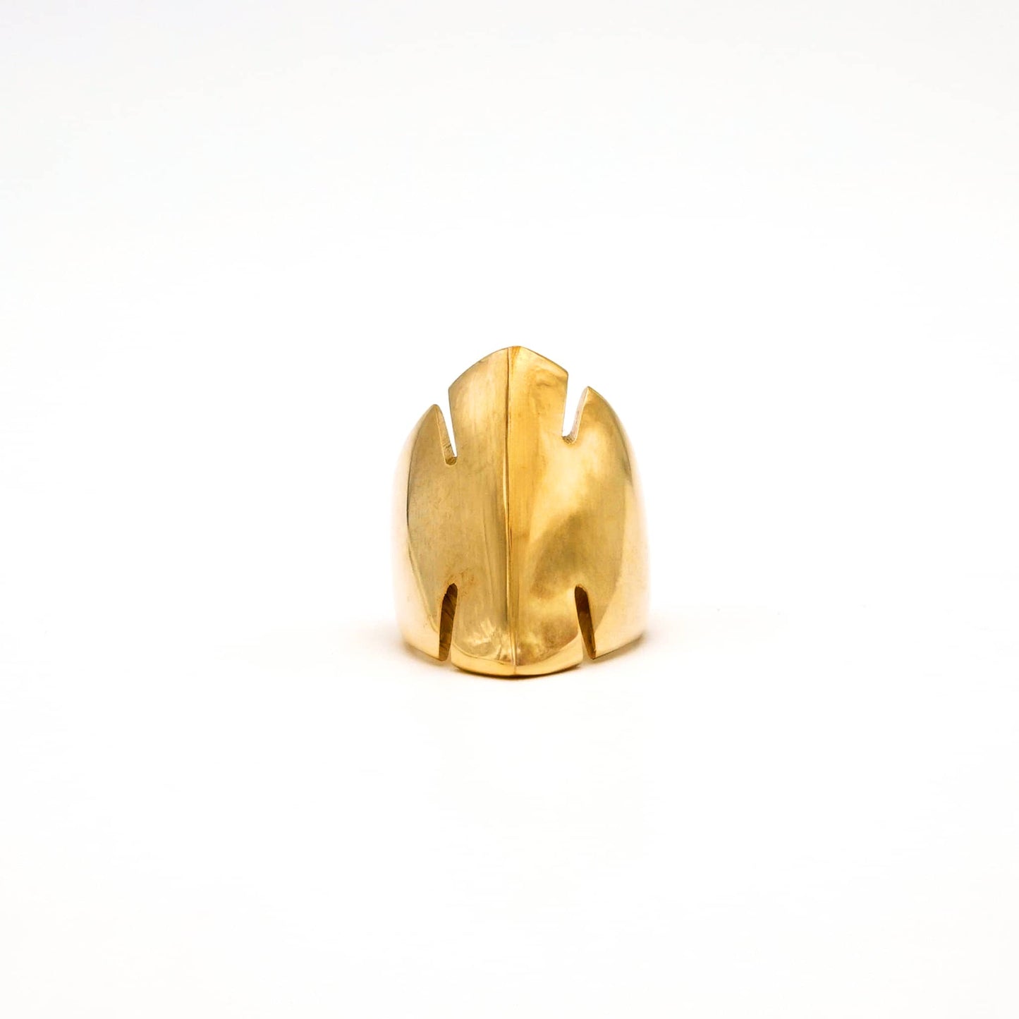 Split Leaf Dome Ring | Tamu
