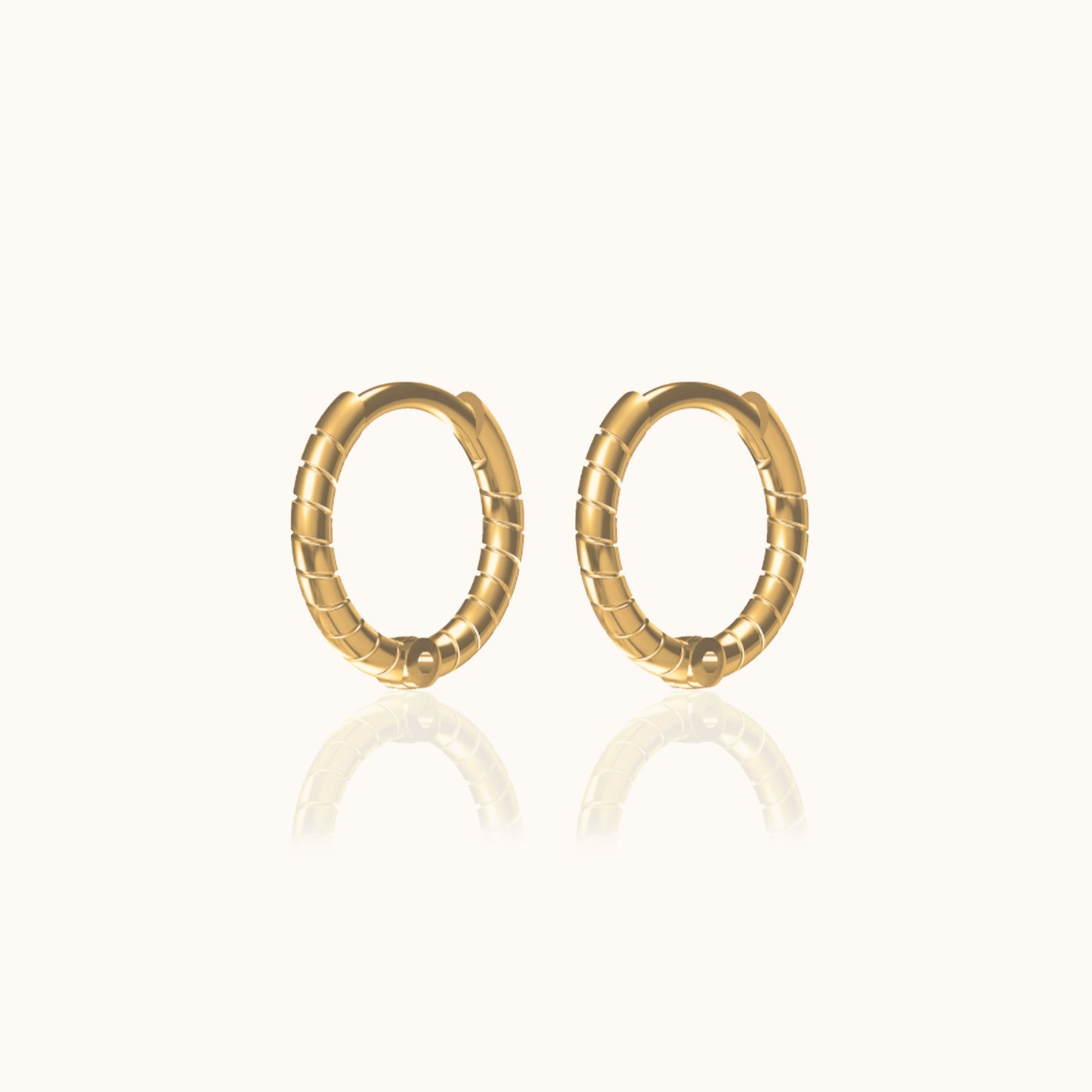 Twisted Hoop Earrings