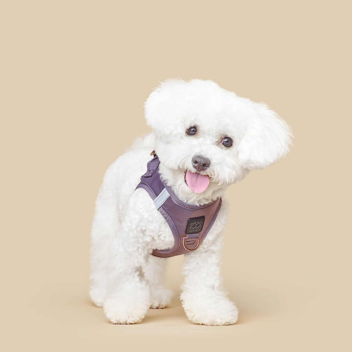 SoHo Complete Dog Walking Set - Lilac Gray