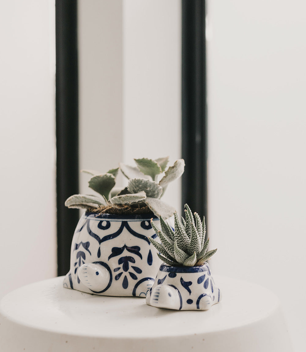 Lalita Mama Turtle Succulent Planter - Hand Painted Ceramic