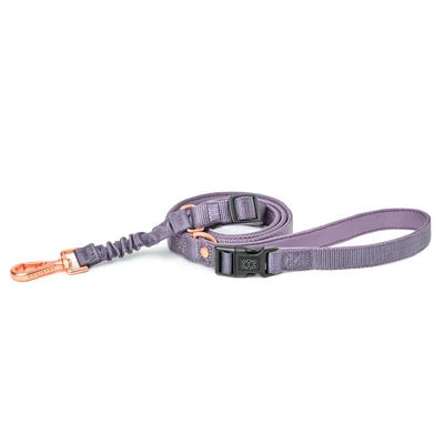 SoHo Complete Dog Walking Set - Lilac Gray