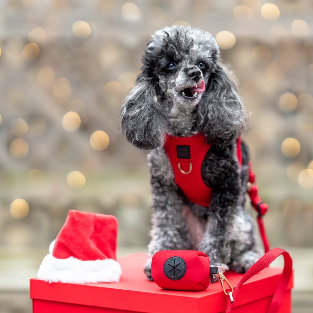 Poop Bag Holder - Iconic Red