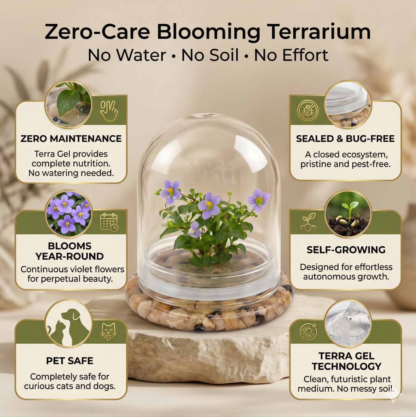 Persian Violet Terrarium