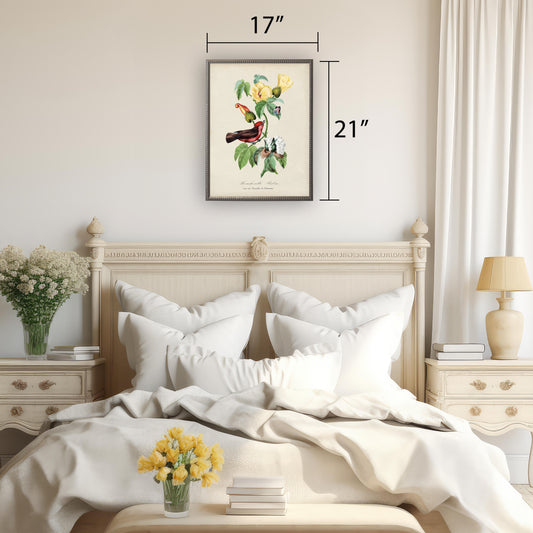 Vintage flycatcher and flower print on a distressed background in a beaded pewter frame sized 16x20