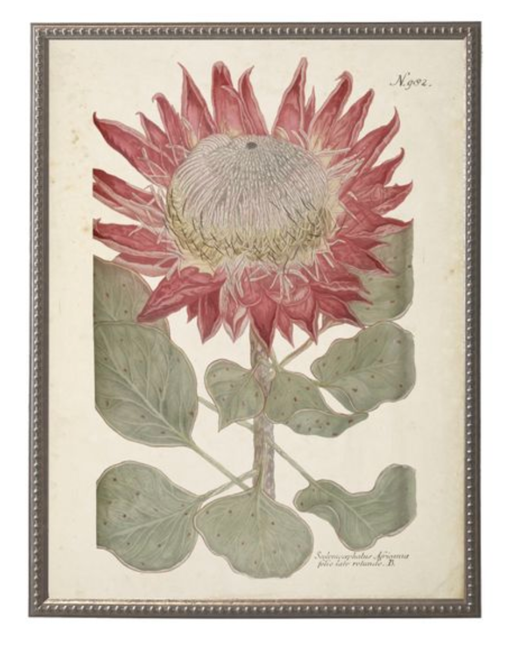 Red Flower in Silver-Beaded Frame